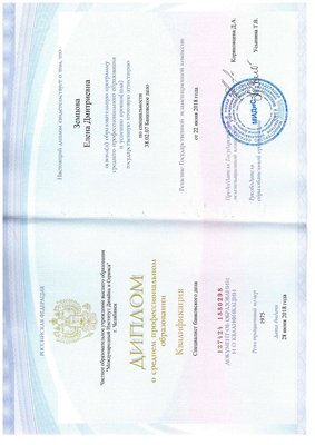 Диплом Земцова