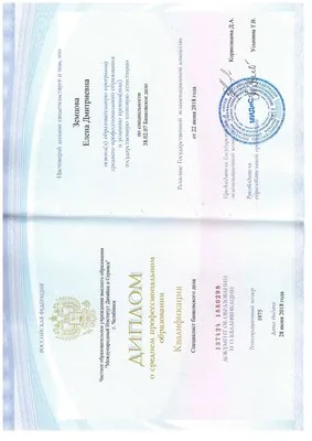 Диплом Земцова